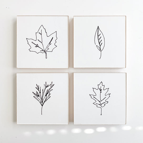 6 x 6 Leaf Line Drawing (Oak)